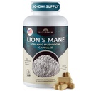 Naturealm Lions Mane Mushroom Supplement - Organic Brain Support for Focus Memory Mental Clarity - Μη Γνωστική λειτουργία ΓΤΟ - 90 κάψουλες χορτοφάγων