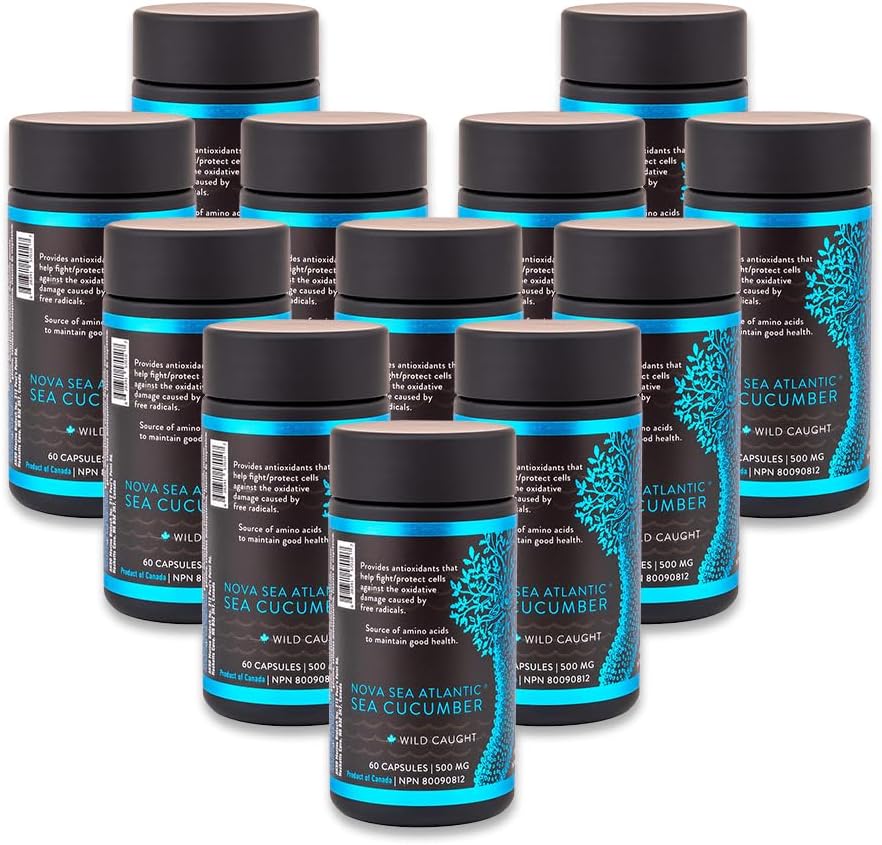 Συμπληρώματα αγγουριών θάλασσας, κάψουλες αγγουριών άγριας θάλασσας με Fucosylated Chondroitin Vitamins Mineral — Natural Antioxidant Supplement for ηλικιωμένα ενήλικα παιδιά (Pack of 12)