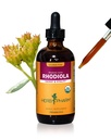 Βότανο Pharm Certified Organic Rhodiola Root Extract για την ενέργεια, αντοχή και Stamina, Glycerite χωρίς αλκοόλ, 4 ουγγιά