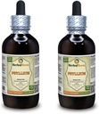 Psyllium (Plantago Ovata) Βάμμα, Βιολογικό Αποξηραμένο Εκχύλισμα Σπέρματος (Όνομα: HerbalTerra, Περήφανα Κατασκευασμένο στις ΗΠΑ) 2x4 fl.oz (2x120 ml)