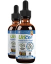 Uricel - Advanced Uric Acid Support & Cleanse Supplement - Liquid Delivery for Better Abvorvice - Κεράσια, Chanca Piedra, Σπόροι σέλινου, Κουρκουμάς & Περισσότερα!