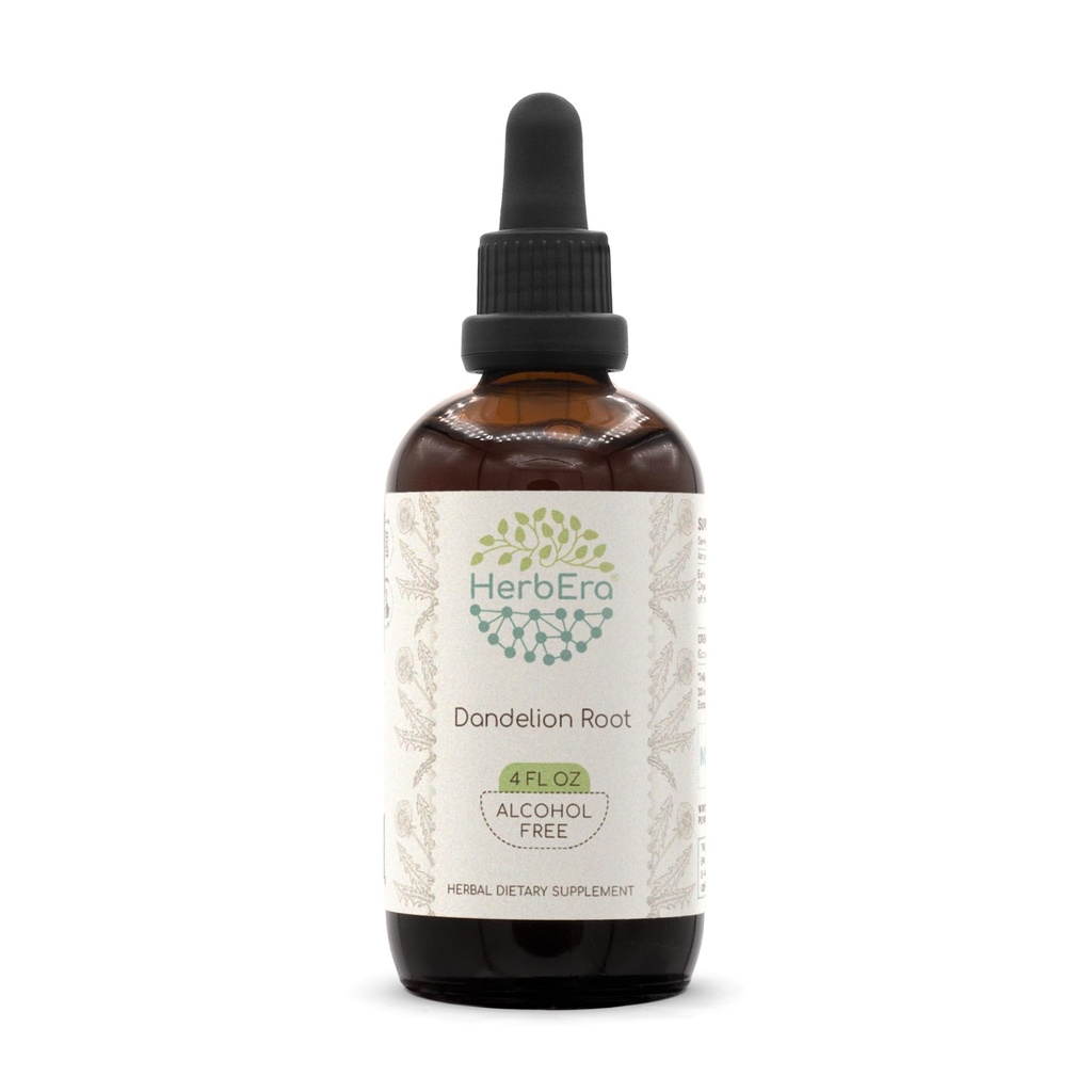 HerbEra Dandelion Root B120 Alcohol-Free Herbal Extract Tincture, Super-Concentrated Dandelion (Taraxacum Officinale) Dried Root (4 fl oz)