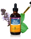 Herb Pharm Mind Sooth: Holy Basil: Liquid Kava Supplement to Support Calm & Relaxation, Stabilizing Support for Nury System, Made with Noble Kava & Lavender Flower, Vegan, Gluten-Free, 4 oz*