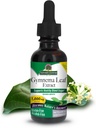 Nature's Answer Alcohol-Free Gymnema Leaf 1oz Extract | Gluten-Free | Non-GMO | Vegan | No Artificial Flavors or Preservatives | Single Count