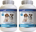 Healthy Coat for Dogs Food - Σκύλοι Συγκρότημα μαλλιών και παλτό - Advanced Skin Relief - Καλό για τα νύχια - Σκύλοι Βιταμίνες για τα μαλλιά - 2 μπουκάλια (120 δισκία)