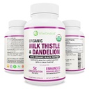 Max Απορρόφηση USDA Organic Milk Thittle Poent 5:1 Συμπυκνωμένο εκχύλισμα (δύναμη 2000mg) & Organic Dandelion Root 