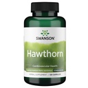 Swanson Hawthorn Extract (Standardized) 250 Milligrams 120 Κάψουλες