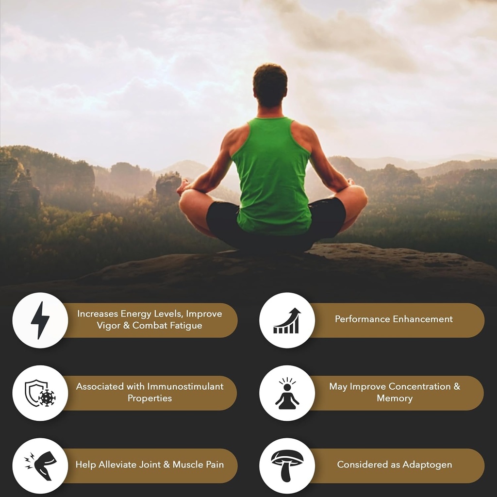 Shilajit Καθαρή βιολογική ρητίνη Ιμαλαΐων Gel — Ενέργεια Boost, Digestive Υγεία & Ανοσολογική Υποστήριξη — Ίχνη Ορυκτά Φυσικό Μαύρο Shilajit για άνδρες και γυναίκες — Πλούσιο σε Fulvic Οξύ, σίδηρο, μαγνήσιο (60 γραμμάρια)