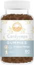 Cordyceps Mushroom Gummies - Μπορεί να υποστηρίξει την ενέργεια, την αντοχή, και Stamina - Τροπική γεύση Mango - Vegan, μη-GMO, Gluten-free, Gelatin Δωρεάν - 60 κόμης