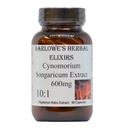 Cynomorium Songaricum Extract 10:1 