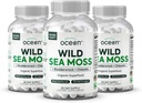 Organics Ocean Wild Sea Moss Κάψουλες - 100% Βιολογικό Ιρλανδικό Μος με Βιολογικό Χλωρέλλα, Bladderwrack και Βιταμίνη D για την ενέργεια, την υγεία του πνεύμονα και Thyroid Υποστήριξη για τις γυναίκες και τους άνδρες - 3 μπουκάλια