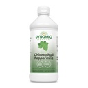 Dynamic Health Liquid Chlorophyl Peppermint 100 mg, Sodium Copper Chlorophyllins με φύλλα Alfalfa και Mulberry, Plant Cleanse και Deodorizing, Χωρίς Προστιθέμενη Ζάχαρη, 16 Fl Oz