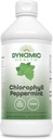 Dynamic Health Liquid Chlorophyl Peppermint 100 mg, Sodium Copper Chlorophyllins με φύλλα Alfalfa και Mulberry, Plant Cleanse και Deodorizing, Χωρίς Προστιθέμενη Ζάχαρη, 16 Fl Oz