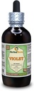 Violet (Viola Yedoensis) Dried Herb Alcohol-Free Liquid Extract (Brand Name: HerbalTerra, Proudly Made in USA) 4 oz