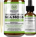 Ευεργετικό Nourishment Organic Irish Sea Moss Drops 2oz - Burdock Root, Bladderwrack & BioPerine [Ultra Strength] 30.000mg Υγρές σταγόνες θαλασσινού Moss για την ανοσοποιητική υποστήριξη, Thyroid, Gut, Skin & Joint Health