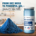 Biolore Sea Moss Gel - Blue Spirulina 16oz, Wildcrated Irish Seamoss with Essential Vitamins & Trace Minerals, Vegan Superfood Made in USA