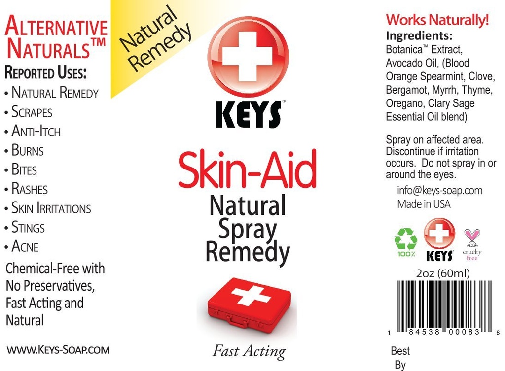 Κλειδιά Skin-Aid Vegan, Chemical-Free, Όλα τα φυσικά αντισηπτικά αναλγητική θεραπεία ψεκασμού Remedy, ταχείας δράσης φαρμακευτικά συστατικά βαθμού σε θεραπευτικές αναλογίες, χωρίς λιδοκαΐνη, 2 ουγγιές