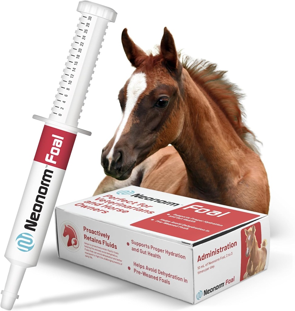 Jaguar Animal Health Foal - Συμπλήρωμα ιπποειδούς Επικόλληση για την υποστήριξη της κατάλληλης ενυδάτωσης & υγείας του εντέρου - Φυτικό Βασισμένο Προϊόν για Προ-απογαλακτισμένα Εμπορεύματα (30 mL)