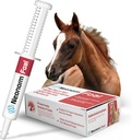 Jaguar Animal Health Foal - Συμπλήρωμα ιπποειδούς Επικόλληση για την υποστήριξη της κατάλληλης ενυδάτωσης & υγείας του εντέρου - Φυτικό Βασισμένο Προϊόν για Προ-απογαλακτισμένα Εμπορεύματα (30 mL)