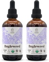 Bugleweed USDA Organic Alcohol-Free Extract 