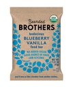 Bearded Brothers, Organic Vegan Protein Energy Bars, Blueberry Vanilla (12 Pack) - Gluten Free, Paleo, Fiber, Whole 30 | Non GMO Low Glycemic Snacks