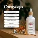 Rainbo - Cordyceps Mushroom Tincture - Διπλό εκχύλισμα συμπλήρωμα μανιταριών - Ανοσολογική υποστήριξη, ενέργεια, συμπλήρωμα υγρών κορδυσσών, Vegan, μη ΓΤΟ, 3.4 fl oz