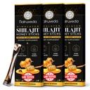 Himalayan Shilajit Honey Sticks for Men & Women - 75%+ Fulvic Acid & Trace Minerals - Ακατέργαστο Μέλι, Saffron & Himalayan Shilajit Resin - Stamina, Performance & Energy Support - (Pack of 30)