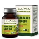 Banyan Botanicals Kanchanar Guggulu Tablets – Βιολογικό Lymp Supplement με Guggulu Resin – Προάγει την υγιή αποβολή των φυσικών τοξινών* – 90 Tablets – Μη- ΓΤΟ Βιώσιμα πηγάζει Vegan