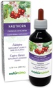 Naturalma Hawthorn (Crataegus oxyacantha) Φύλλο και λουλούδι Αλκοόλ-ελεύθερο Βάμμα - 6.76 fl oz Liquid Extract in Drops - φυτικό συμπλήρωμα - Vegan