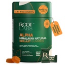 ROOT LABS 10-in-1 Alpha Shilajit Gummies | 4000 mg Pure Himalayan Shilajit with Tongkat Ali & Maca Root | Shilajit for Men & Women | ShilAbsorb Bioavailability Tech | Sugar-Free, Vegan | 60 Gummies