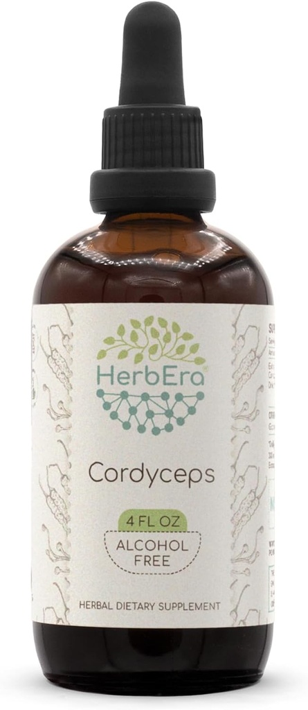 Cordyceps B120 Alcohol-Free Herbal Extract Tincture, Concentrated Liquid Drops Natural Cordyceps Militaris Dried Mushroom (4 fl oz)