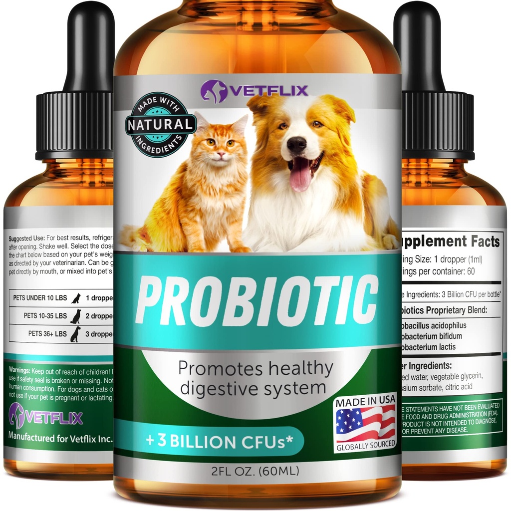 Premium Probiotics για σκύλους, γάτες - Digestive Ένζυμα & Συμπληρώματα Πρεβιοτικών - Βοηθά στην ανακούφιση της διάρροιας, του εμετού, αναστατωμένο στομάχι, αέριο, δυσκοιλιότητα & κακή αναπνοή - Υποστηρίζει Digestive System - 2 Fl Oz
