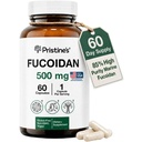 Fucoidan 500MG κάψουλες συμπλήρωμα ανοσίας - 60 ημέρες προσφοράς - Brown Seaweed Extract - ισχυρό βοτανικό αντιοξειδωτικό Lung Υγεία & υποστήριξη της υγείας του δέρματος