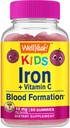 WellYeah Iron Gummies for Kids with Vitamin C - Υποστήριξη αναιμίας, Σχηματισμός ερυθρών αιμοσφαιρίων, ενέργεια και ανοσία Υποστήριξη Gummy, συμπληρώματα σιδήρου για παιδιά - GMO δωρεάν, φυσικό άρωμα σταφυλιών - 60 κόμης