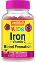 WellYeah Iron Gummies for Kids with Vitamin C - Υποστήριξη αναιμίας, Σχηματισμός ερυθρών αιμοσφαιρίων, ενέργεια και ανοσία Υποστήριξη Gummy, συμπληρώματα σιδήρου για παιδιά - GMO δωρεάν, φυσικό άρωμα σταφυλιών - 60 κόμης