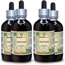 Cordyceps (Cordyceps Sinensis) Βάμμα, Βιολογικό Αποξηραμένο Υγρό Εκχύλισμα Σκόνης Μανιταριών (Όνομα: HerbalTerra, Περήφανα Κατασκευασμένο στις ΗΠΑ) 4x4 fl.oz (4x120 ml)