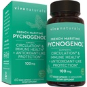 Viva Naturals Pycnogenol - 100mg Γαλλικό εκχύλισμα Maritime Pine Bark – Υποστηρίζει την κυκλοφορία, αντιοξειδωτική δραστηριότητα, αρθρώσεις & ανοσοποιητική υγεία και λειτουργία – 60 κάψουλες Veggie