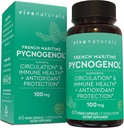 Viva Naturals Pycnogenol - 100mg Γαλλικό εκχύλισμα Maritime Pine Bark – Υποστηρίζει την κυκλοφορία, αντιοξειδωτική δραστηριότητα, αρθρώσεις & ανοσοποιητική υγεία και λειτουργία – 60 κάψουλες Veggie