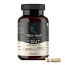 TERRA Origin Healthy Gut Reset PM 