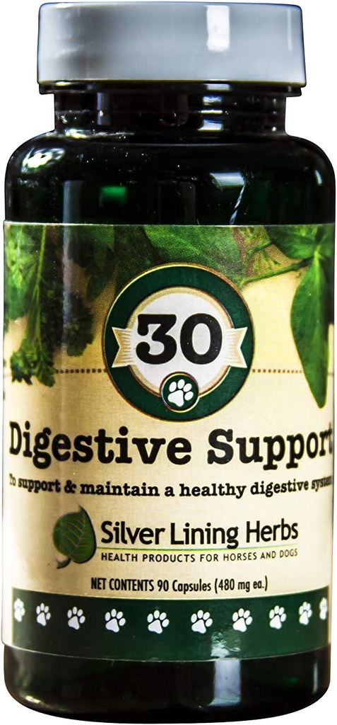Silver Lining Herbs Dog Digestive Support – Συμπληρώματα Σκύλων για Υγιεινή Πέψη & Λειτουργία Ούρων - Φυσικές Βιταμίνες Αρωματικά Μείγμα Σκύλος με Γλιστερό Φελλό, Ginger & More – 90 Κάψουλες