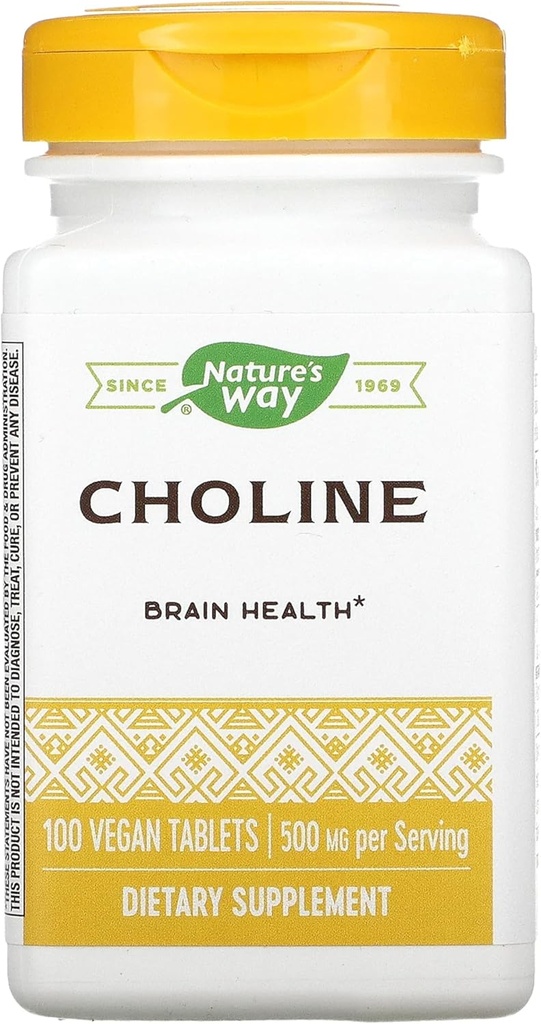 ΦΥΣΙΚΟΙ ΤΡΟΠΟΙ 500Mg 100 Tb Choline, 100 CT