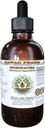 Echinacea Υγρό εκχύλισμα χωρίς αλκοόλη, Echinacea (Echinacea Angustifolia) Αποξηραμένη ρίζα Γλυκερίτης Χαβάη Pharm Φυσικό φυτικό συμπλήρωμα 4 oz