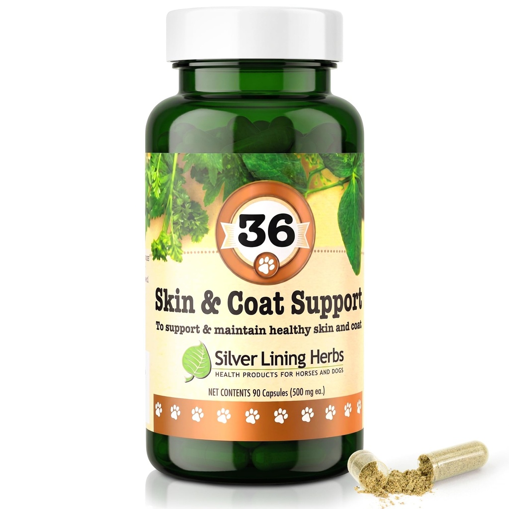 Silver Lining Herbs 36 Canine Skin & Coat Support - Φυσικό συμπλήρωμα βοτάνων για την ενίσχυση των σκύλων κατά του περιβάλλοντος - φυτικό δέρμα και παλτό συμπλήρωμα για σκύλους - 90 κάψουλες