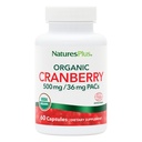 NaturesPlus Organic Cranberry 500 mg - 60 Κάψουλες - Βοηθά στην προώθηση Υγιούς Ουρολοίμωξης - USDA Certified Organic, Vegan, Gluten Free, Non-GMO - 30 Υπηρεσίες