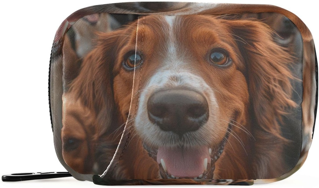 Εβδομαδιαία Pill Organizer Group Dogs Golden Retriever Small Pill Box Portable Travel Pill Case 7 Ημέρες κάτοχος συμπλήρωμα βιταμίνης με Zipper για οικογενειακή επιχείρηση Camping