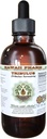Tribulus Alcohol-Free Liquid Extract, Tribulus (Tribulus Terrestris) Dried Fruit Glycerite Natural Herbal Supplement, Hawaii Pharm, USA 2 fl.oz