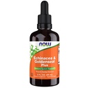 NOW Συμπληρώματα Τροφίμων, Echinacea & Goldenseal Plus με Σταγονομετρητή, Υποστήριξη ανοσοποιητικού συστήματος*, 2-Ounce