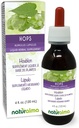 Naturalma Hops (Humulus lupulus) strobilus ή Κώνος (Γυναίκα Λουλούδια) Αλκοόλ-ελεύθερο Βάμμα - 4 fl oz Liquid Extract in Drops - φυτικό συμπλήρωμα - Vegan