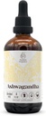 Ashwagandha Alcohol-Free Natural Tincture Extract, Immune System Booster, Liquid Drops Made from 100% Ashwagandha (Withania somnifera) Dried Root (4 fl oz)