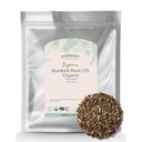 Starwest Botanicals Burdock Root Organic - Φυσική πηγή αντιοξειδωτικών, χαλαρά βότανα για τσάι, ρύζι, σούπα, & Stews, κομμένα & κοσκινισμένα, πιστοποιημένα Kosher, μη GMO - Μαζική τσάντα 1 lb